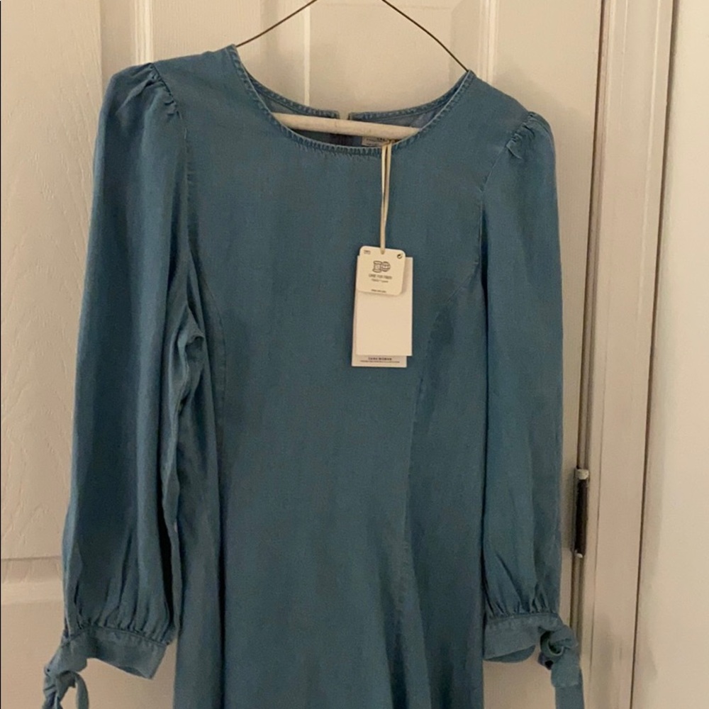 Zara denim dress